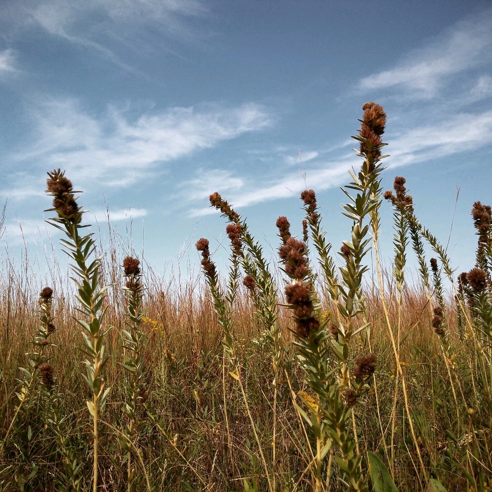 Meet your Posher, Tanya
